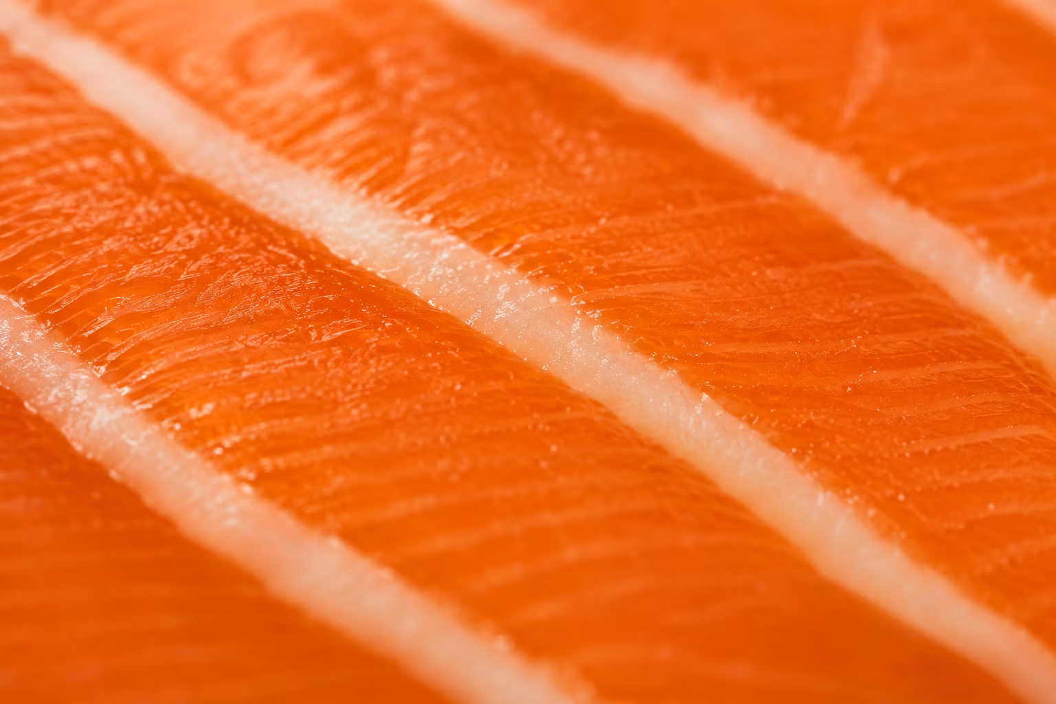 Macro detail of the salmon, its fat lines crossing the frame.